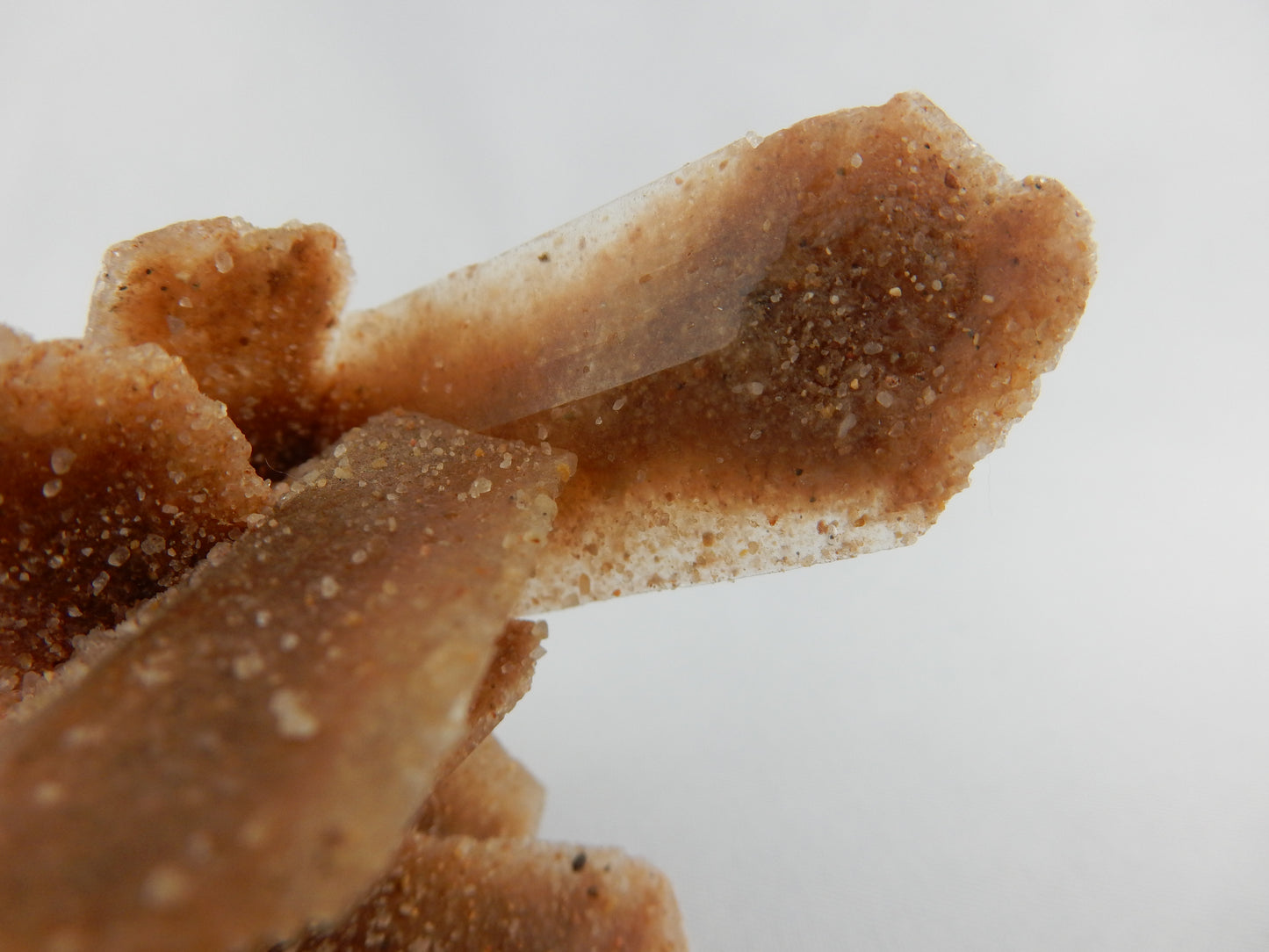 Gypsum "Sand Crystals"