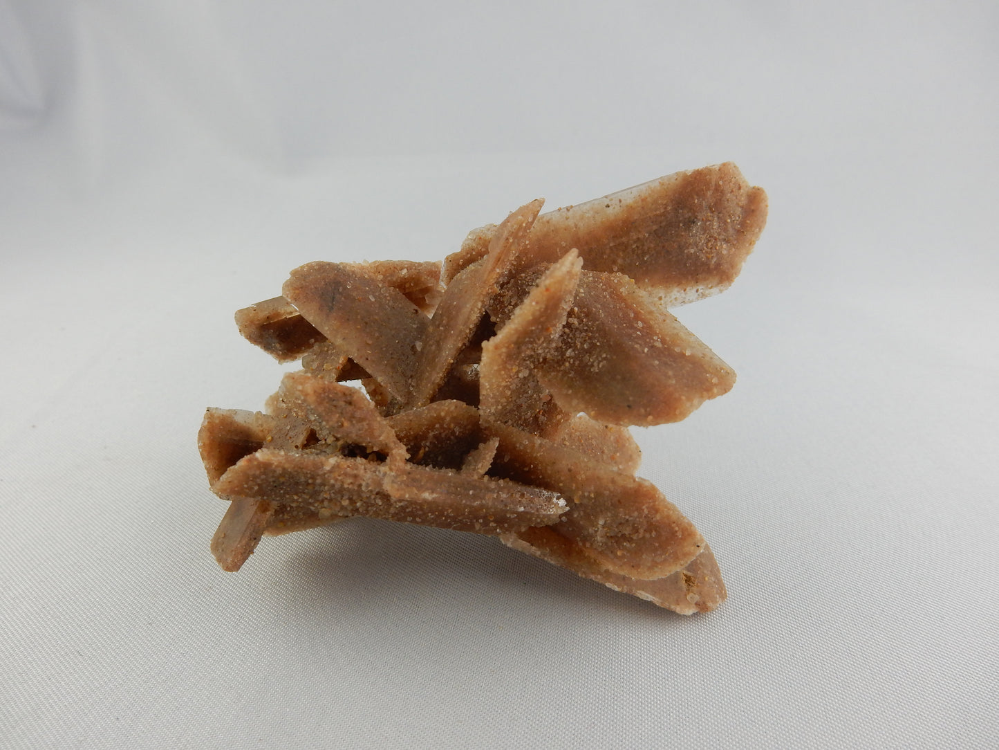 Gypsum "Sand Crystals"
