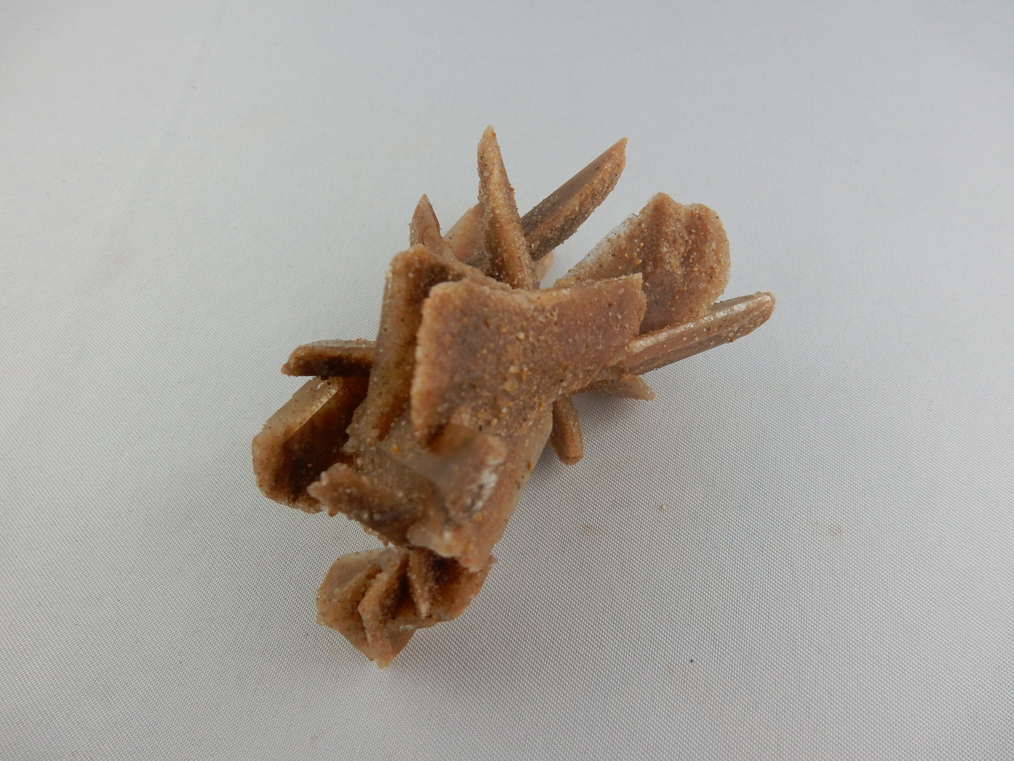 Gypsum "Sand Crystals"