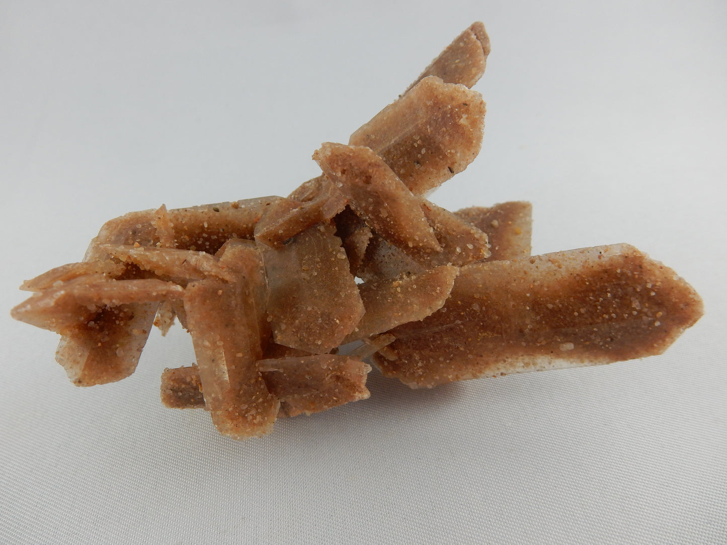 Gypsum "Sand Crystals"