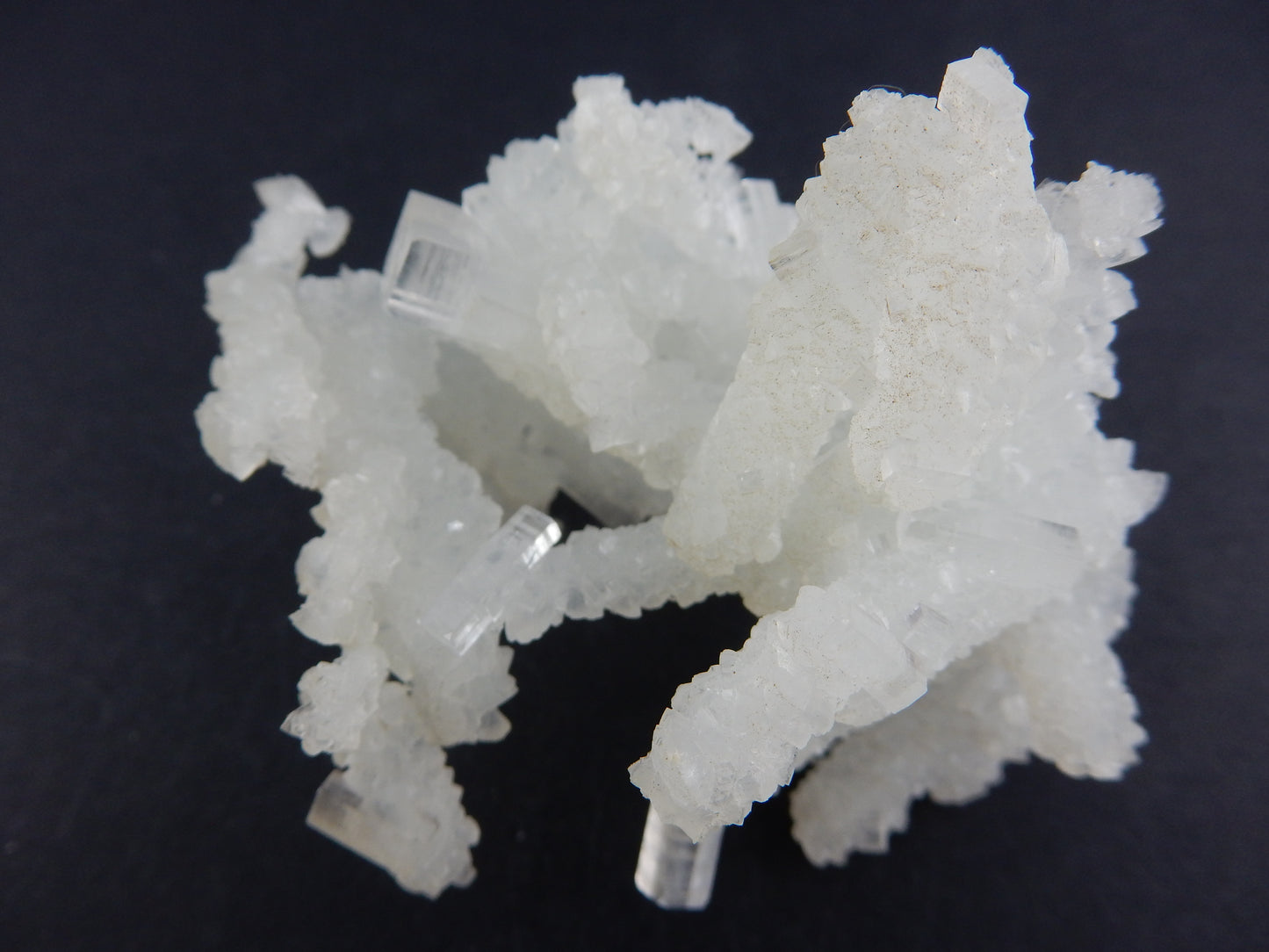 amazing network of delicate and gemmy-tipped Halite (natural salt)- rare green colour