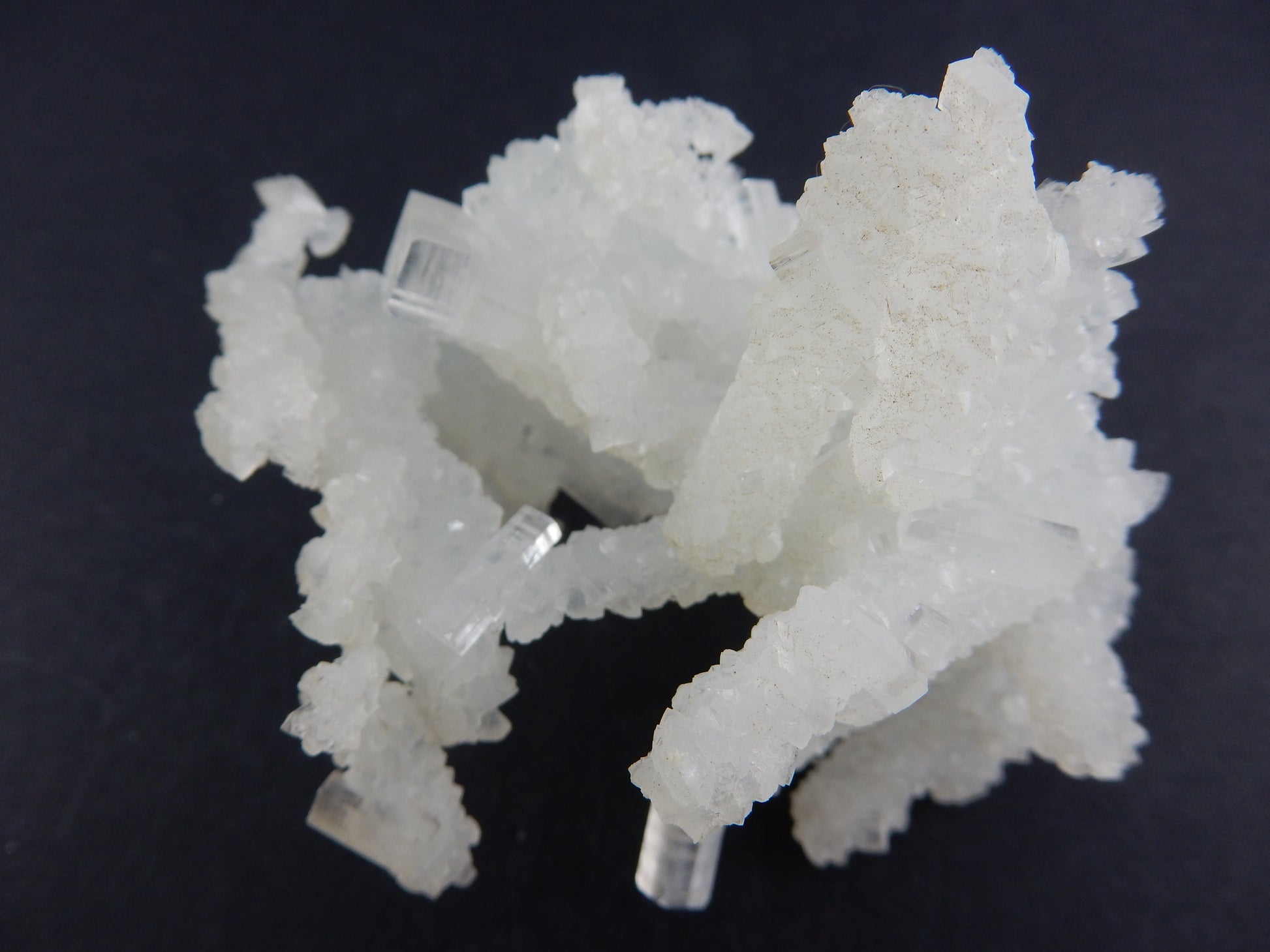 amazing network of delicate and gemmy-tipped Halite (natural salt)- rare green colour