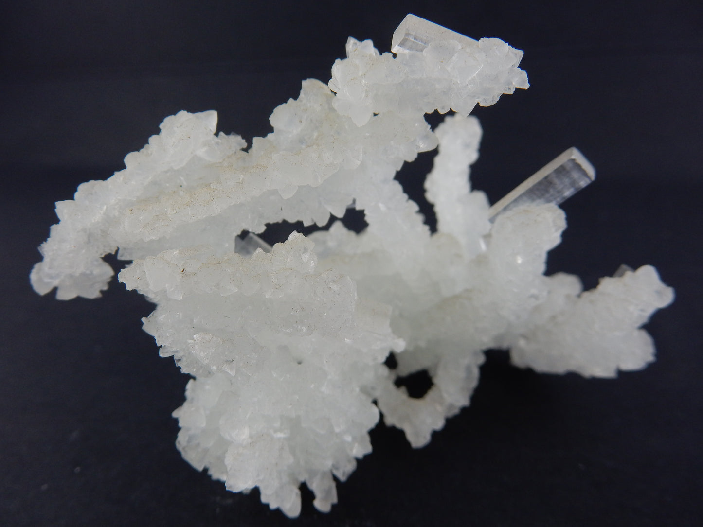 Halite Green Branching