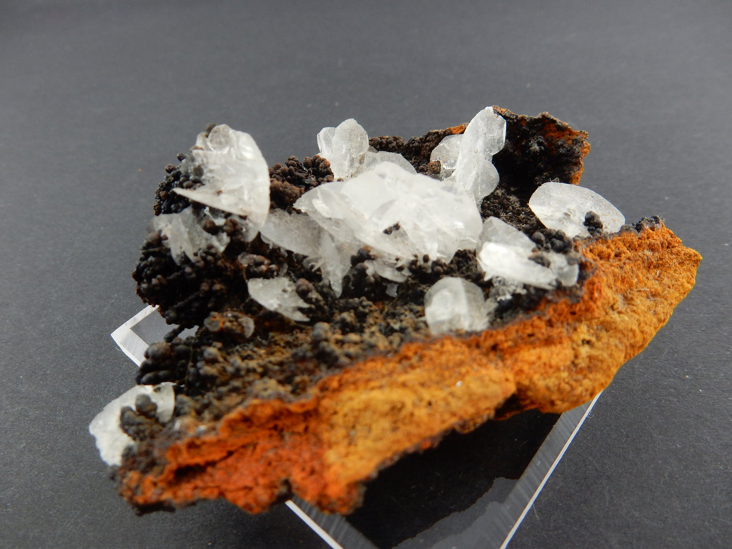 clear gemmy blades of Hemimorphite nicely contrasted on a bed of dark hematite
