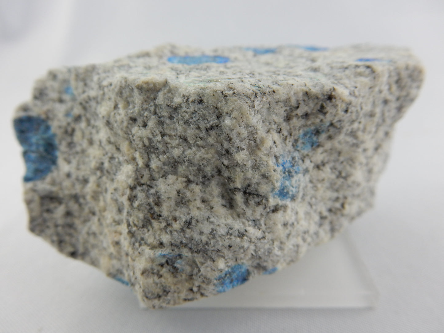 K2 Stone rough - Azurite on Granite