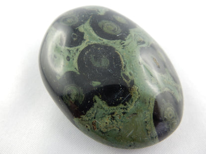 Kambaba Jasper Palm Stone