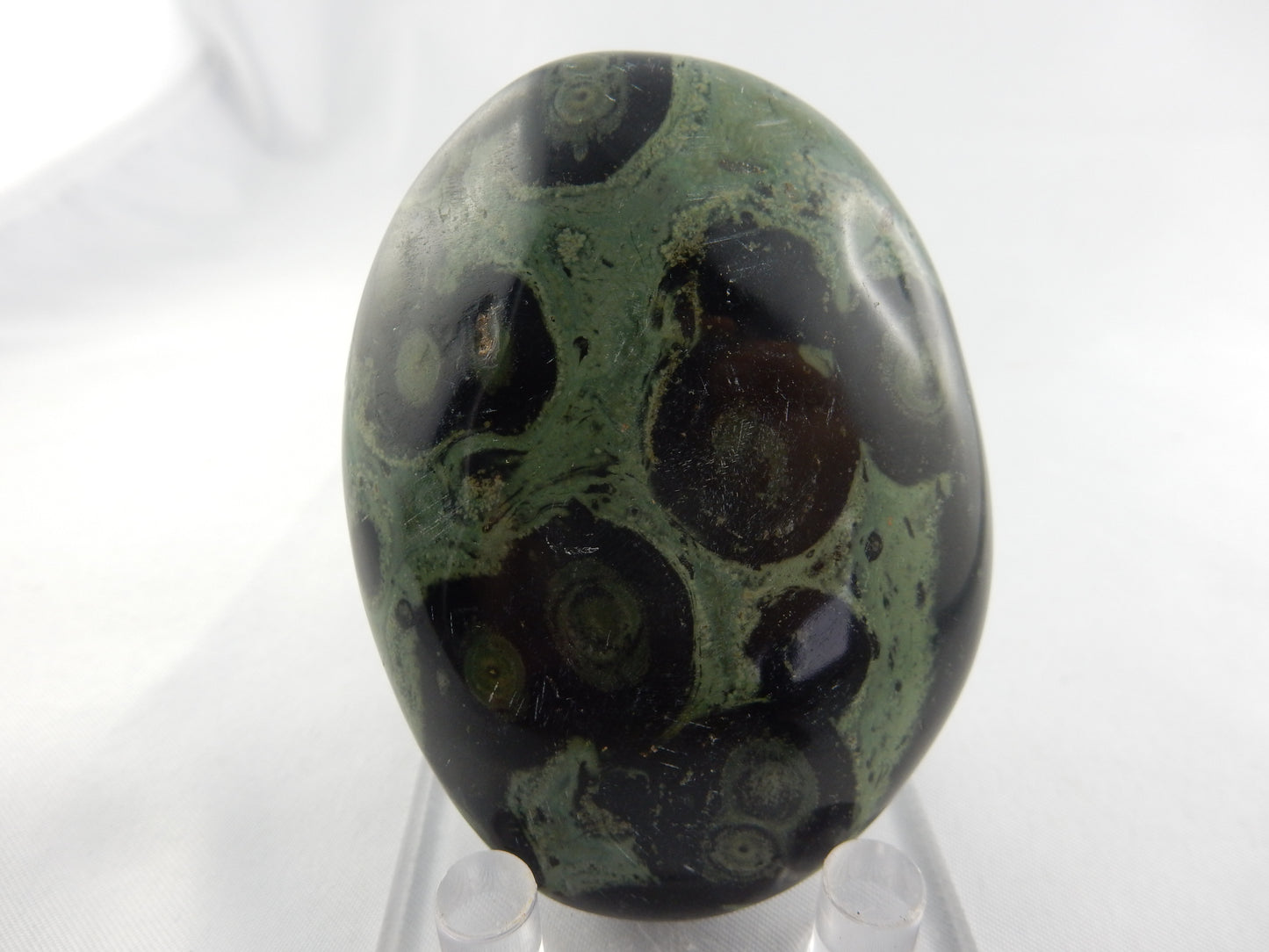 Kambaba Jasper Palm Stone