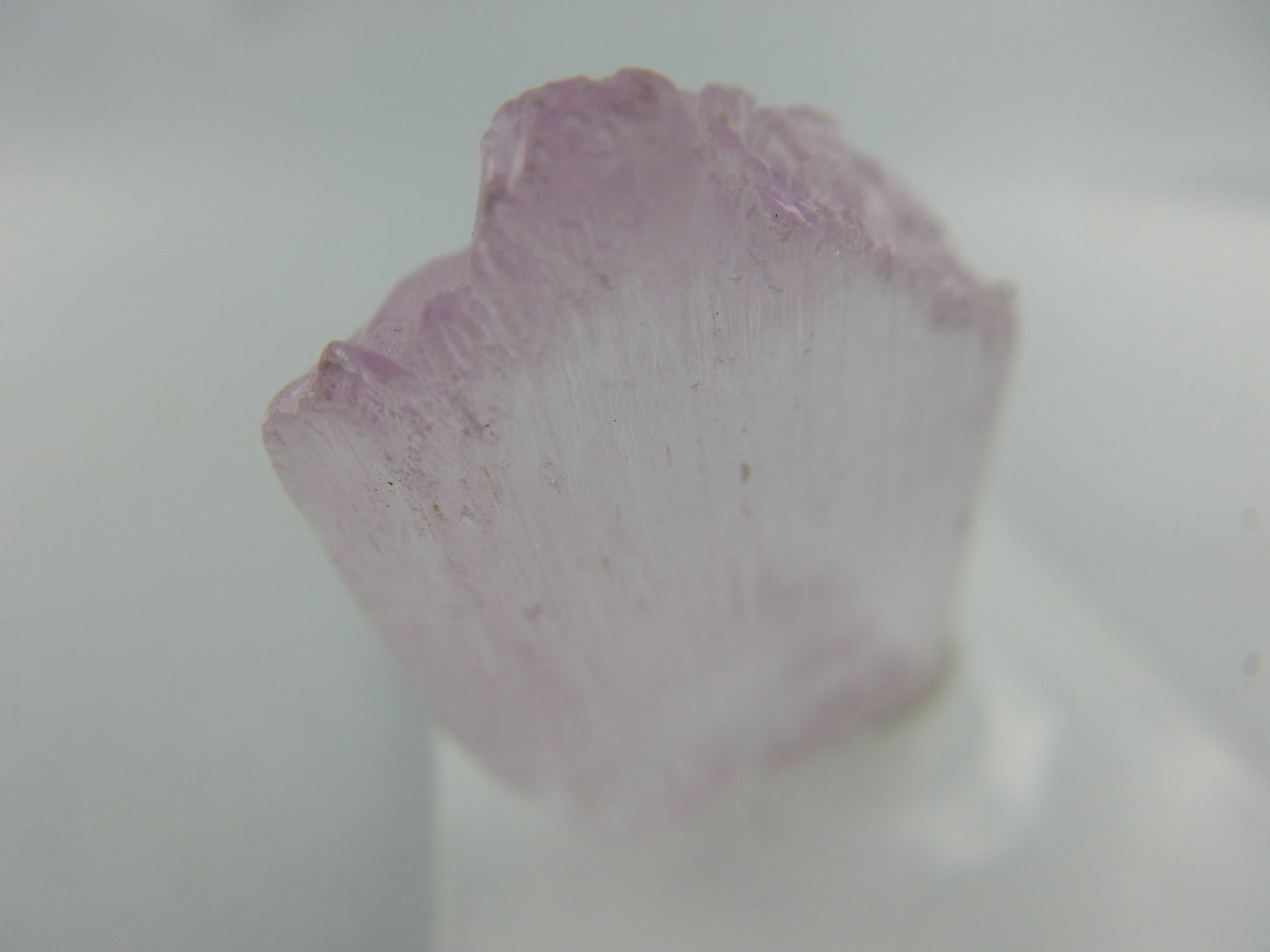Kunzite - hot pink