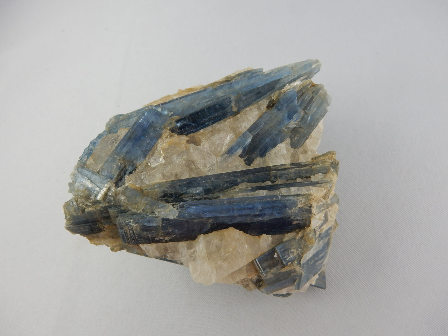 Deep rich blue gemmy irisdescent - many blades of intersecting Kyanite in matrix of white clear quartz