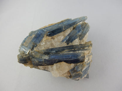 Deep rich blue gemmy irisdescent - many blades of intersecting Kyanite in matrix of white clear quartz