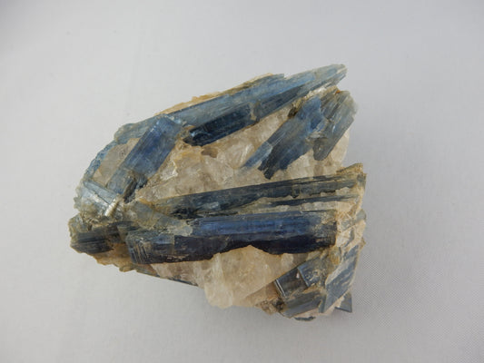 Deep rich blue gemmy irisdescent - many blades of intersecting Kyanite in matrix of white clear quartz