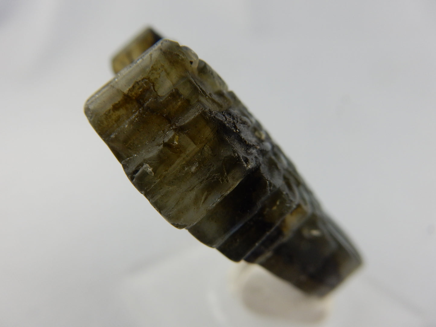 Labradorite "Wings"