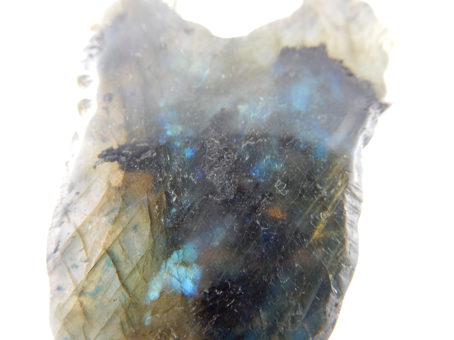 Labradorite "Wings"