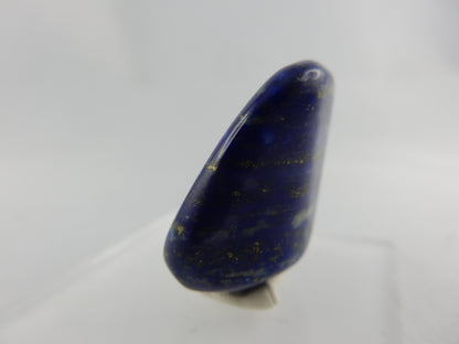 Lapis Lazuli with Pyrite