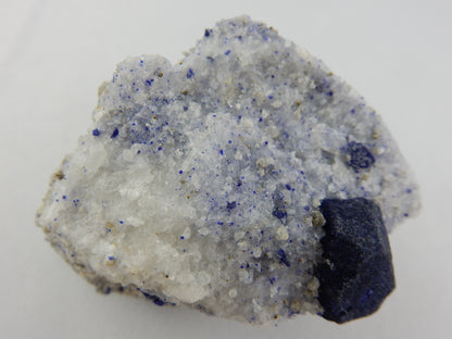 Lapis - Lazurite, Crystal on Calcite