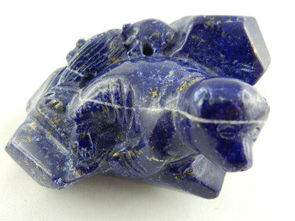 Lapis Lazuli - Sealion on Rocks