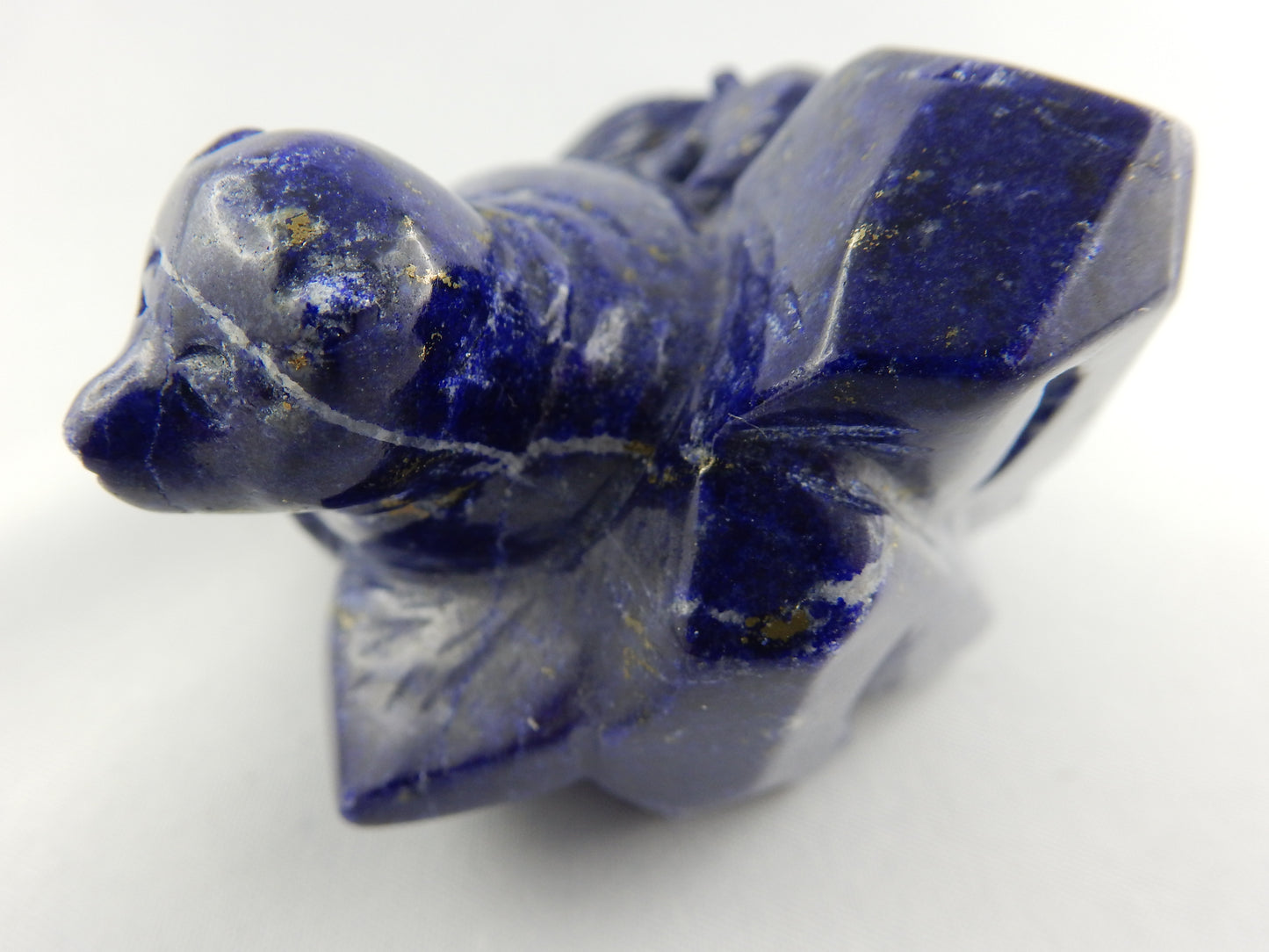 Lapis Lazuli - Sealion on Rocks