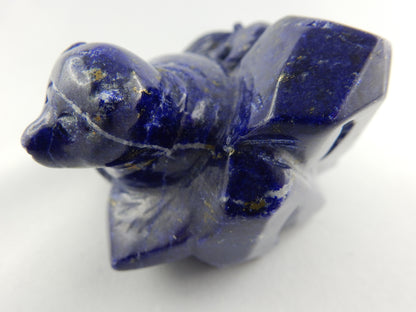 Lapis Lazuli - Sealion on Rocks