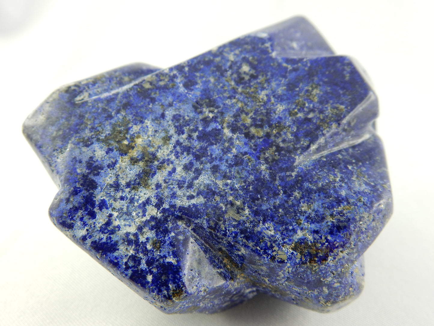 Lapis Lazuli - Sealion on Rocks