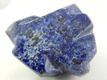 Lapis Lazuli - Sealion on Rocks