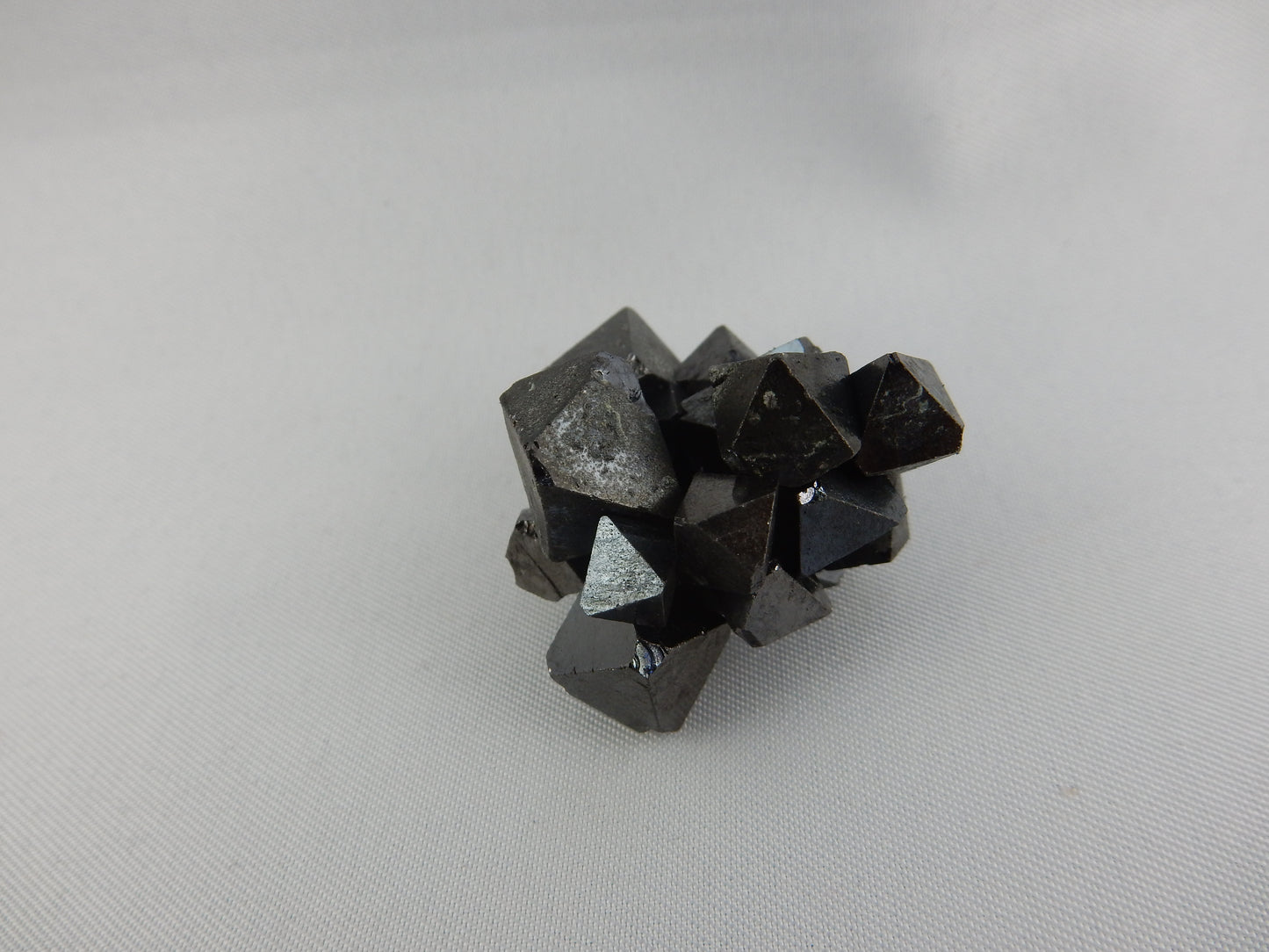 Magnetite Crystal Lot (21 pcs)