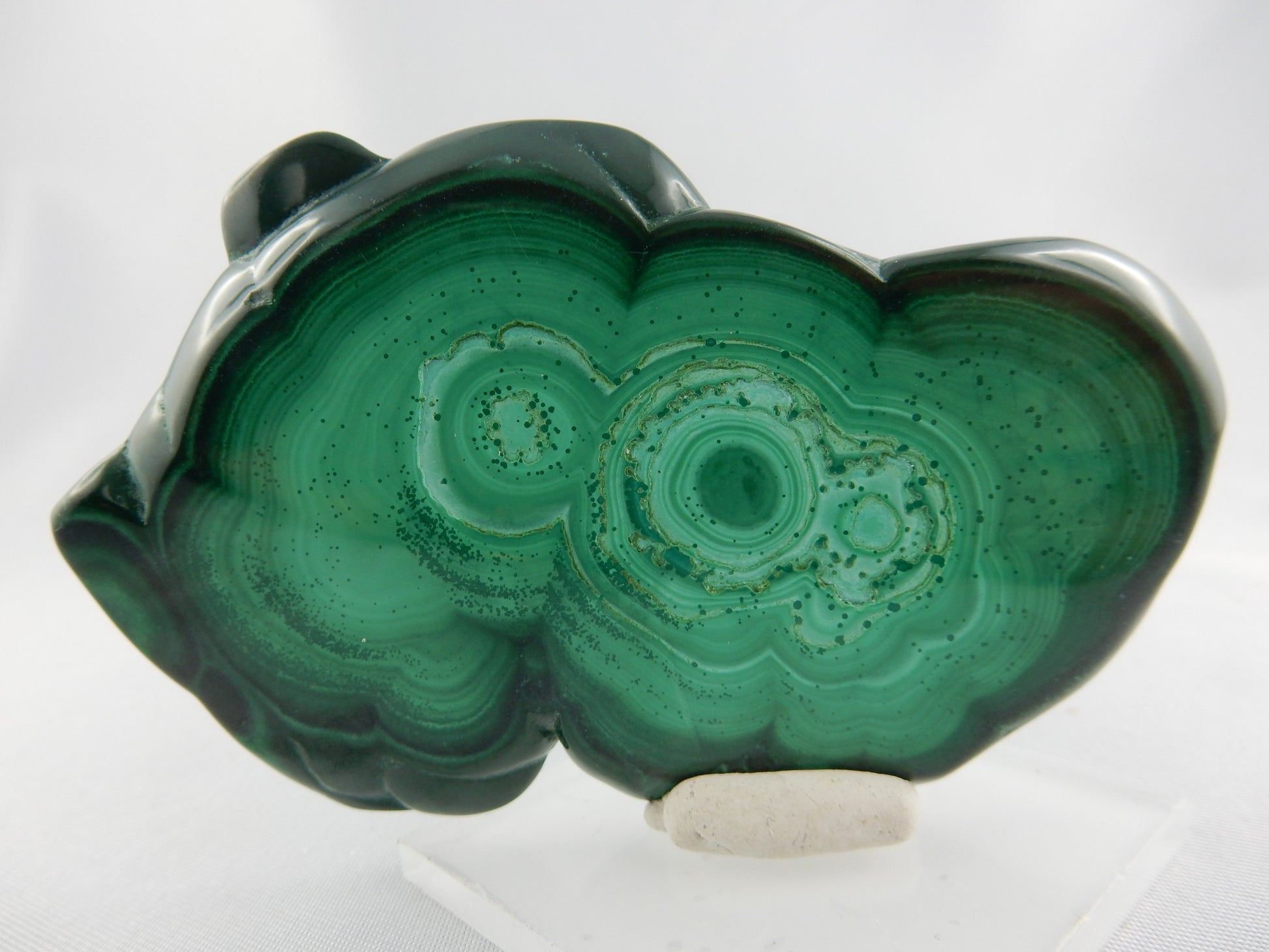 finely polished both sides slab of Malachite stalactite - wonderful green clouds
