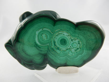 finely polished both sides slab of Malachite stalactite - wonderful green clouds