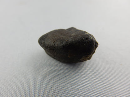 Meteorite Chelyabinsk, Russia