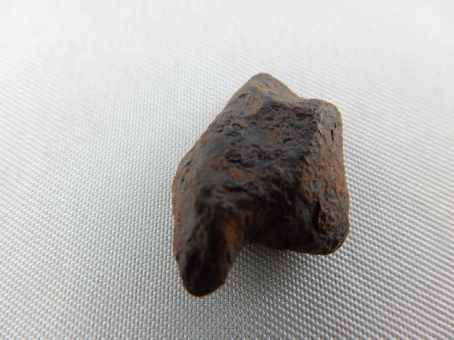 Meteorite Imilchil, Morocco