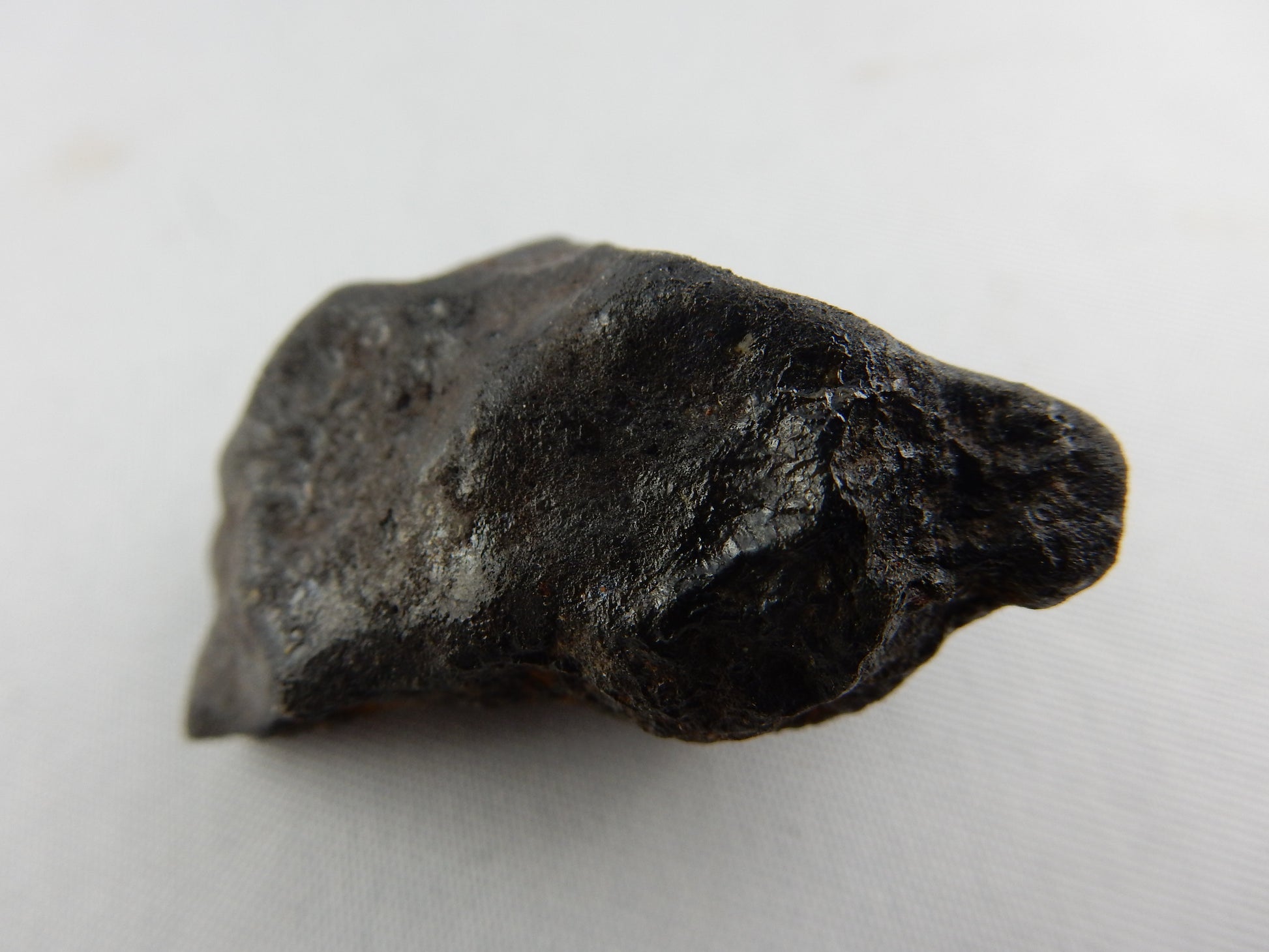 Meteorite North West Africa 869, Morocco - stone Chondrite L5, found 2001, total weight 3,000+kg