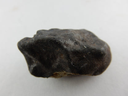 Meteorite North West Africa 869, Morocco