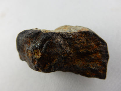 Meteorite North West Africa 869, Morocco