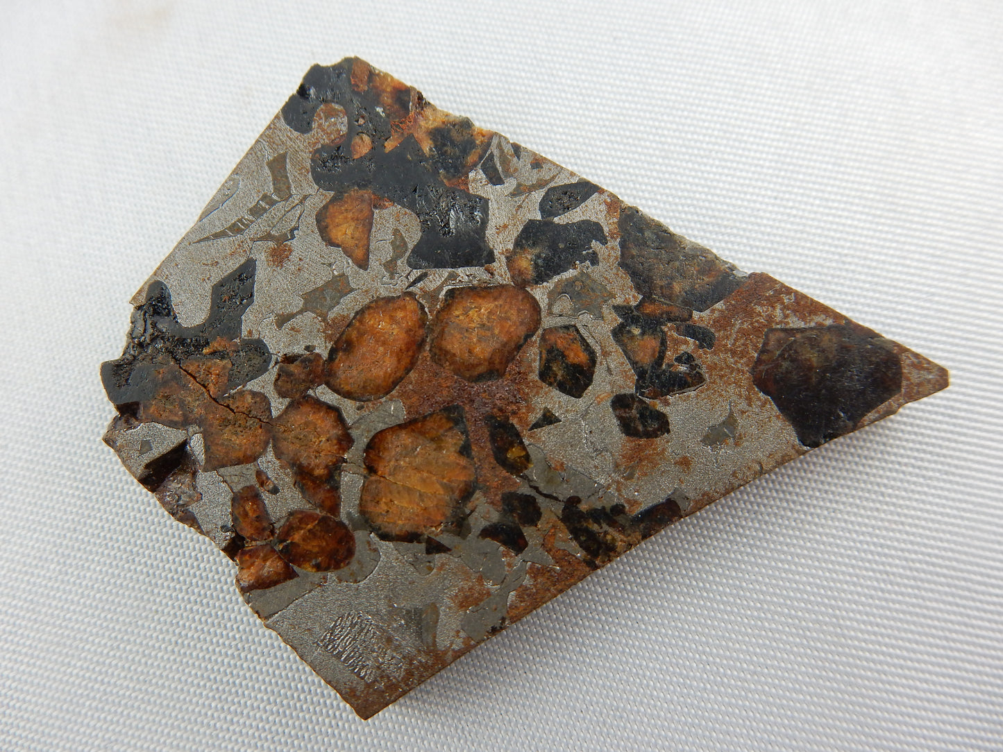 Meteorite Sericho Pallasite, Kenya - amazing Slice of Gemmy Olivine and Shiny Iron