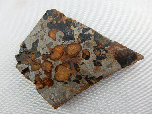 Meteorite Sericho Pallasite, Kenya - amazing Slice of Gemmy Olivine and Shiny Iron