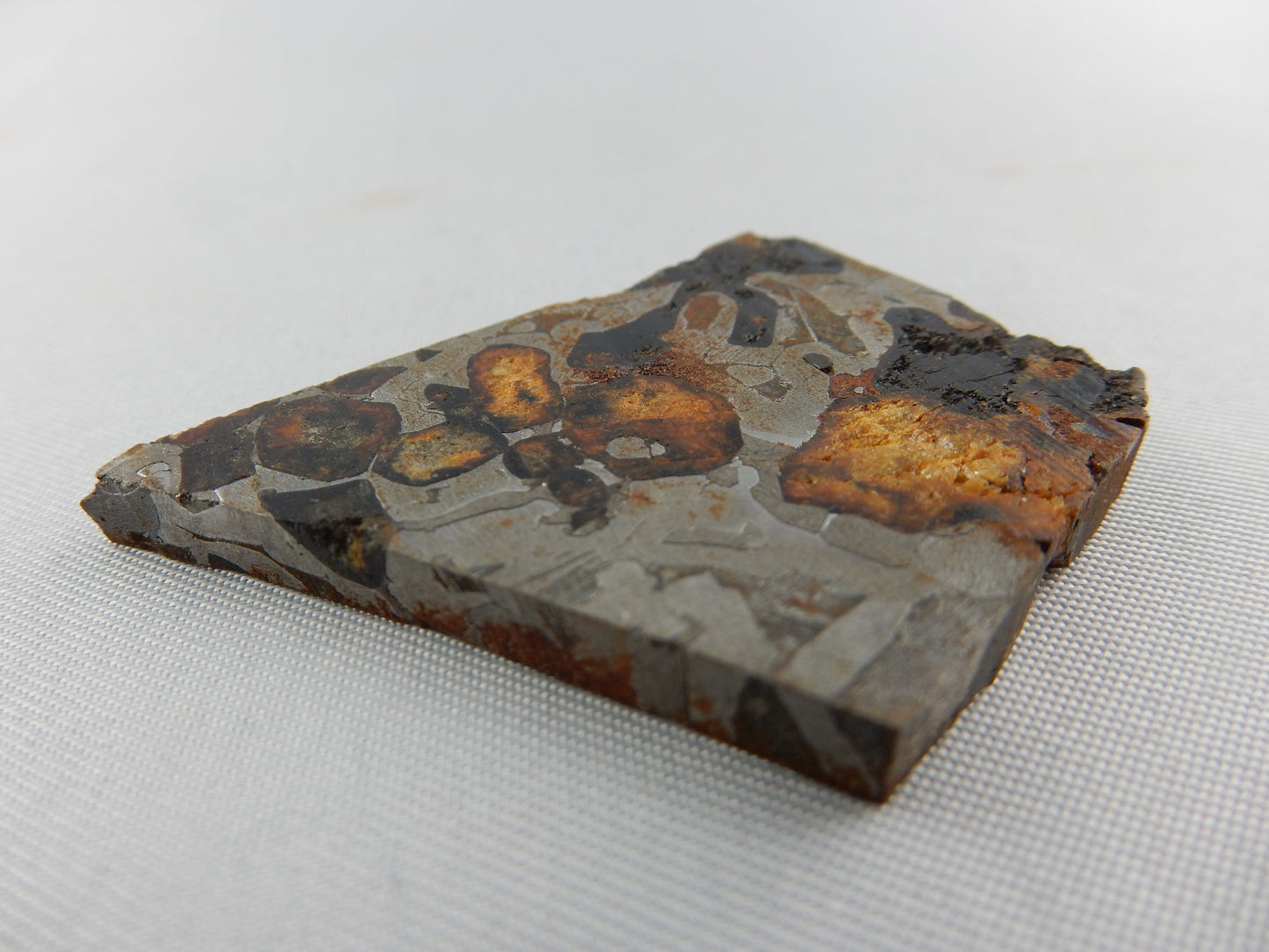 Meteorite Sericho Pallasite, Kenya