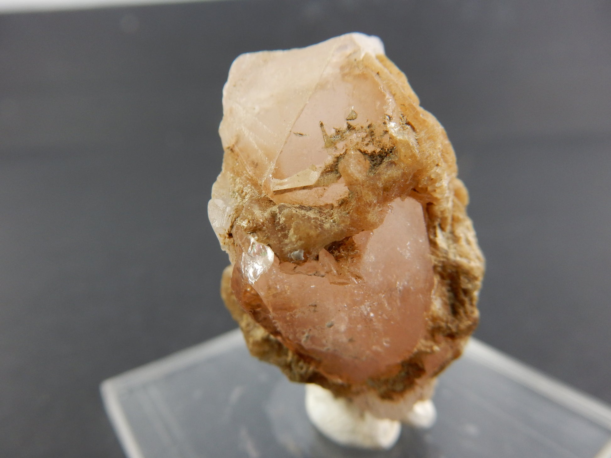dark pink (rare rich colour) terminated morganite on bed of muscovite