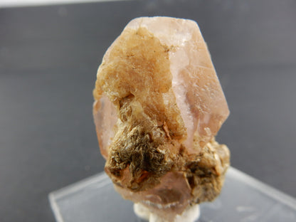 Morganite - Pink Gem