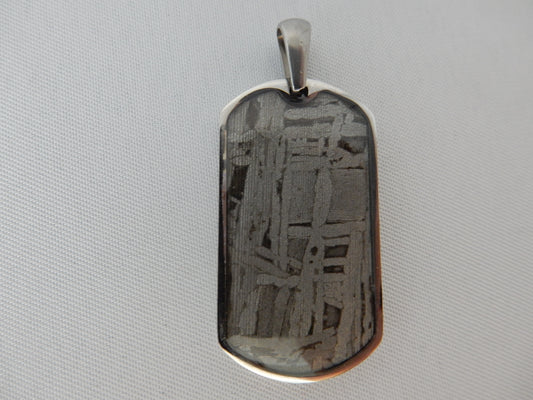 Aletai Meteorite, discovery 1898, wear a wandering spec rock, pendant