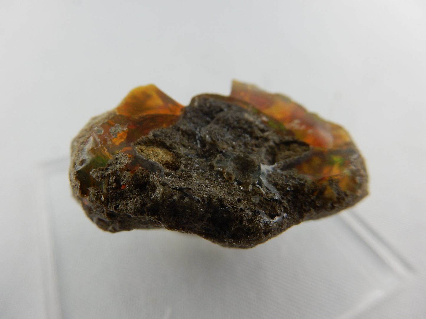 Fire Opal Mexico