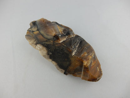 Petrified Wood NZ
