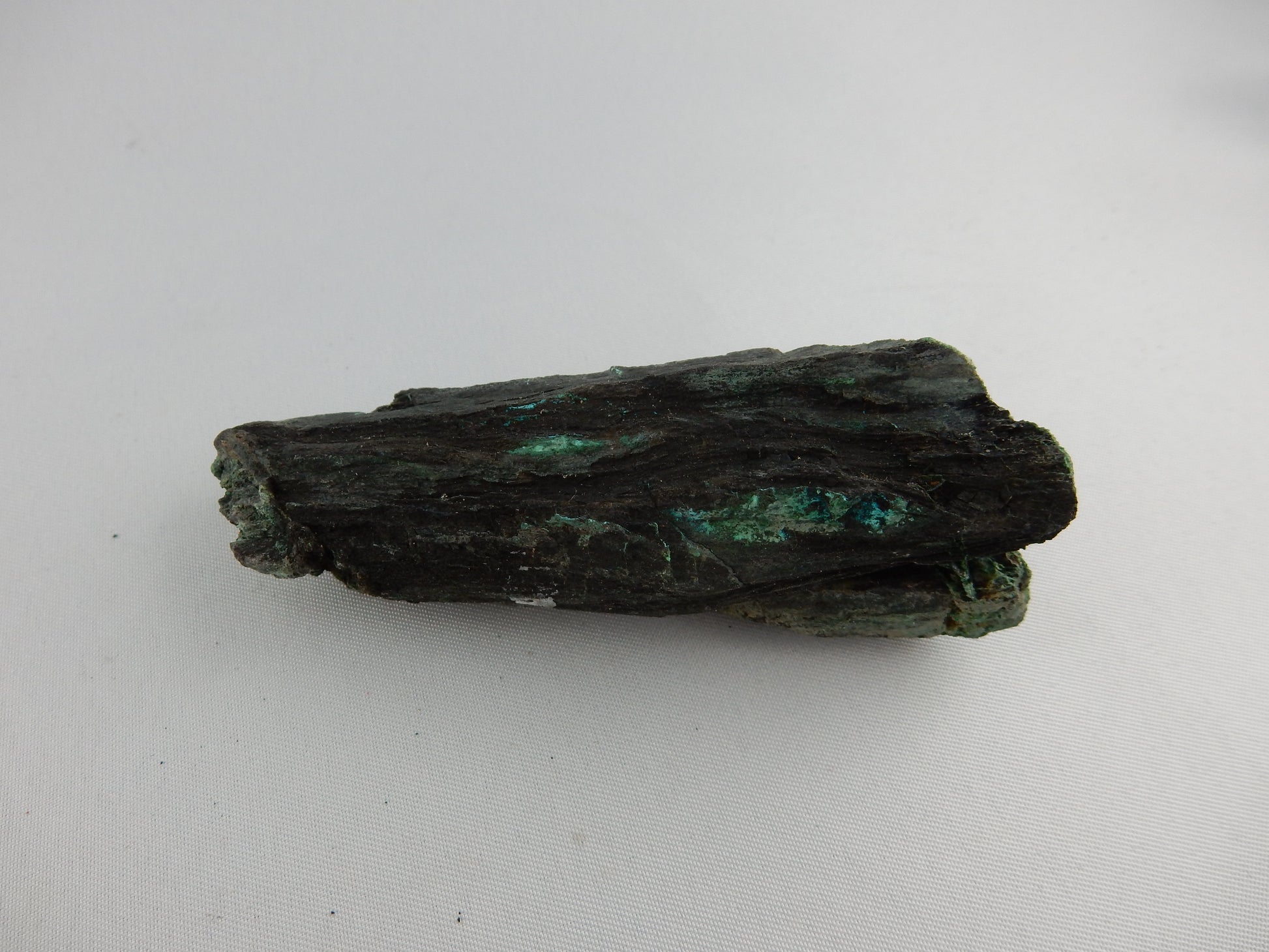 Pertrified wood replaced with native SILVER and Chalcocite - unique for petrified wood collectors!