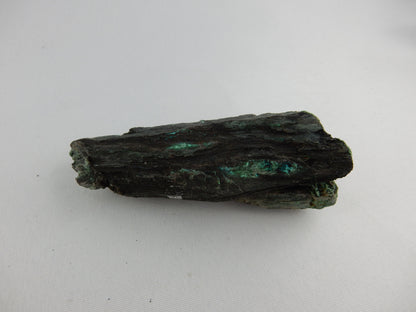 Pertrified wood replaced with native SILVER and Chalcocite - unique for petrified wood collectors!