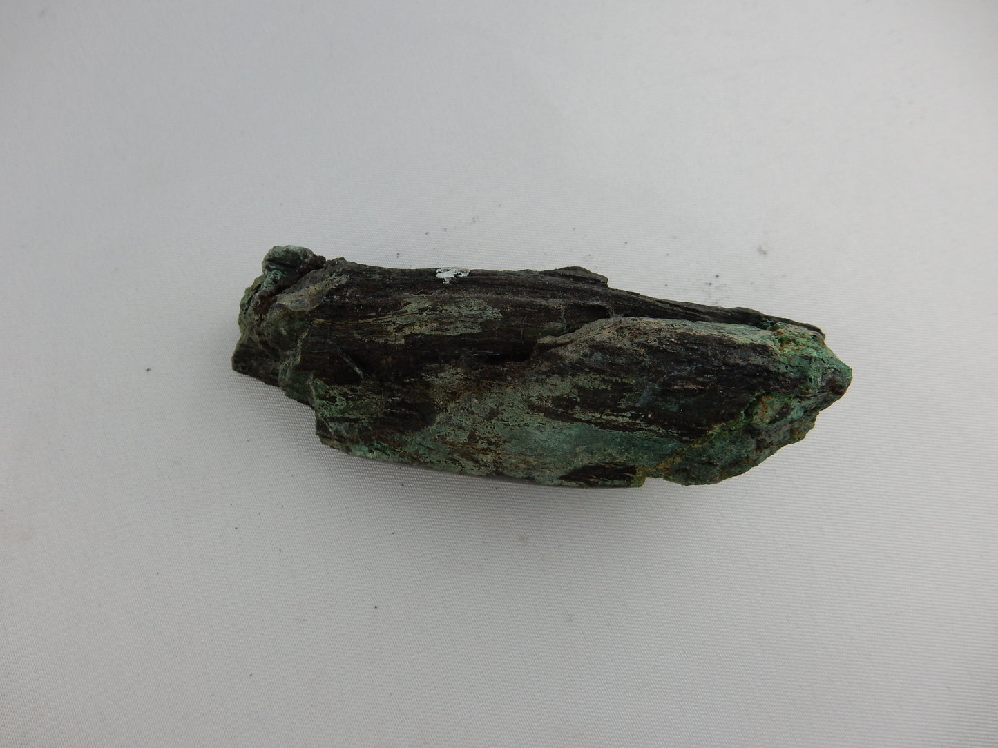 Petrified Wood - Silver RARE