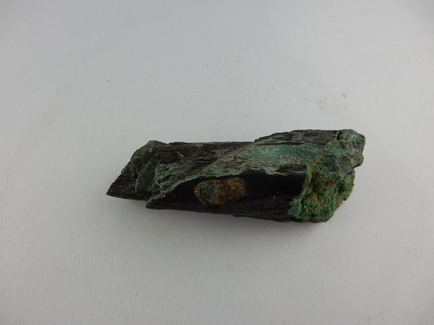 Petrified Wood - Silver RARE