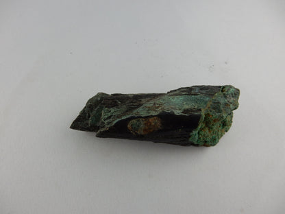 Petrified Wood - Silver RARE