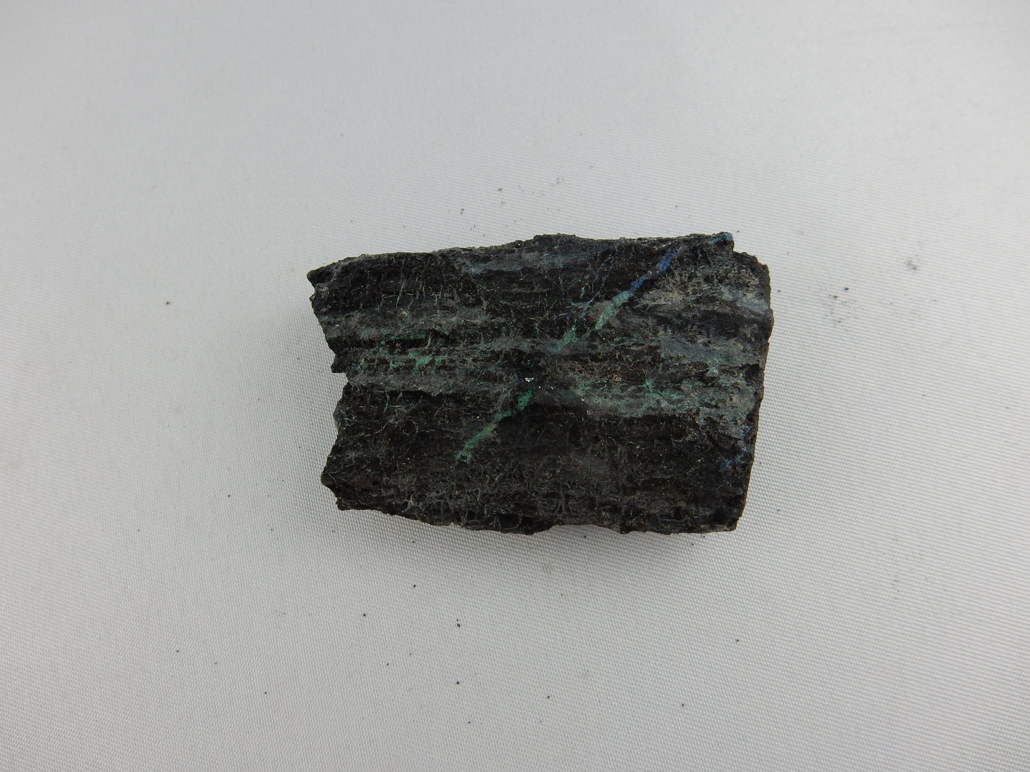 petrified wood replaced with native SILVER and Chalcocite - unique for petrified wood collectors!