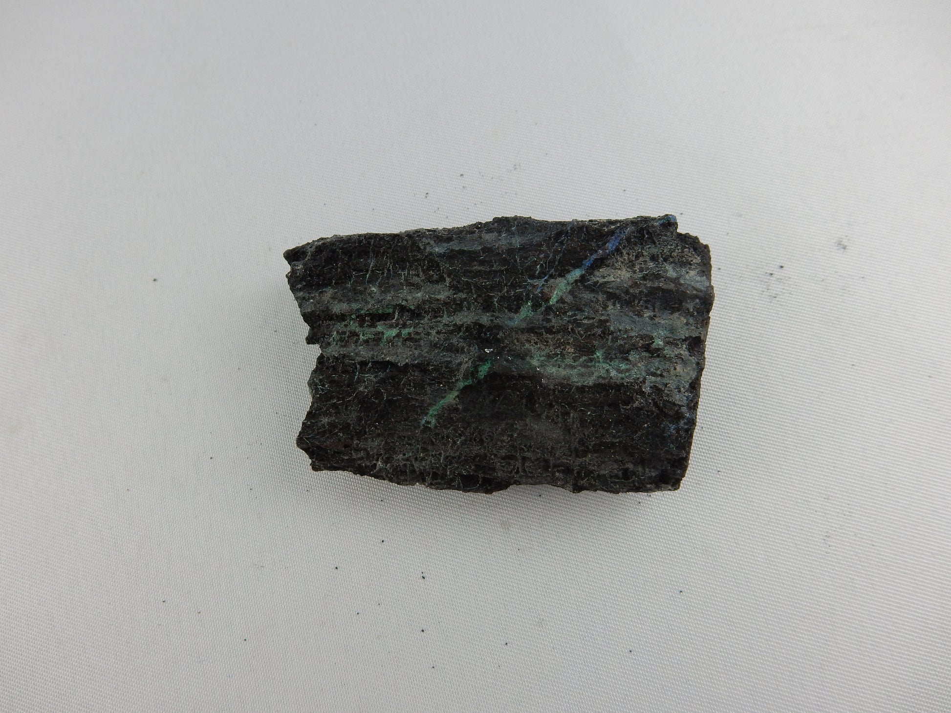 petrified wood replaced with native SILVER and Chalcocite - unique for petrified wood collectors!