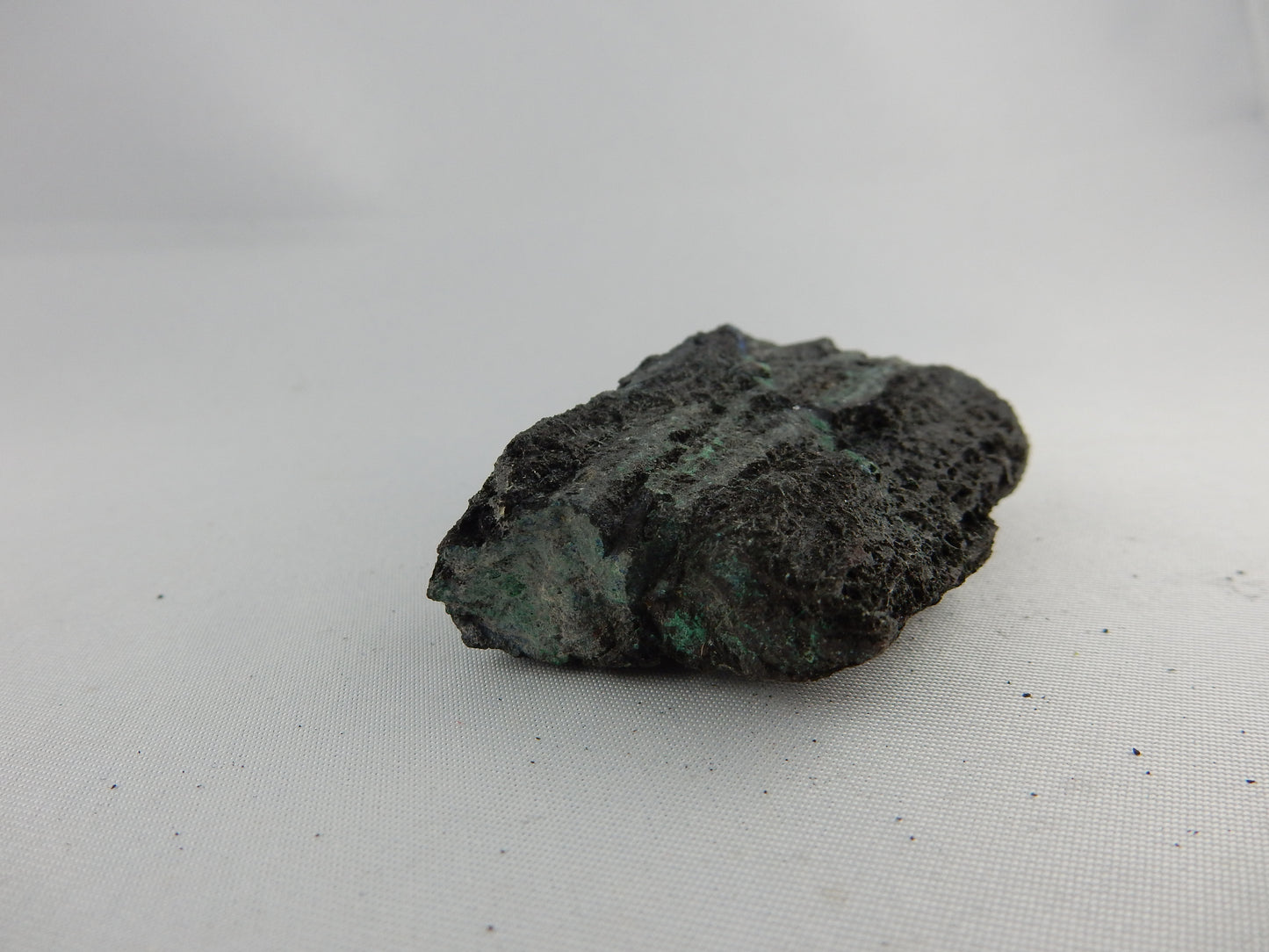 Petrified Wood - Silver RARE