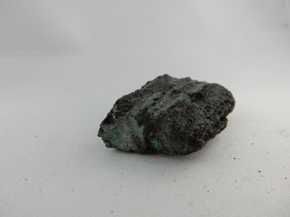 Petrified Wood - Silver RARE