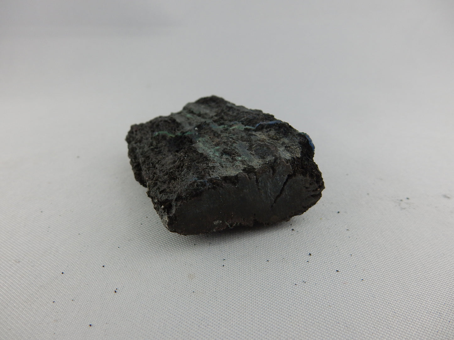 Petrified Wood - Silver RARE